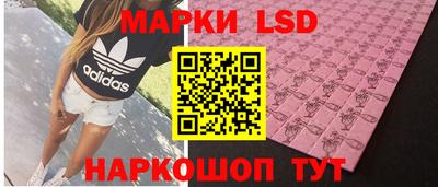 гидра Нальчик