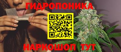 гидра Нальчик
