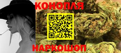 гидра Нальчик
