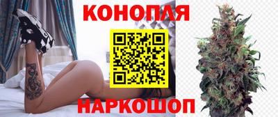 каннабис Новозыбков
