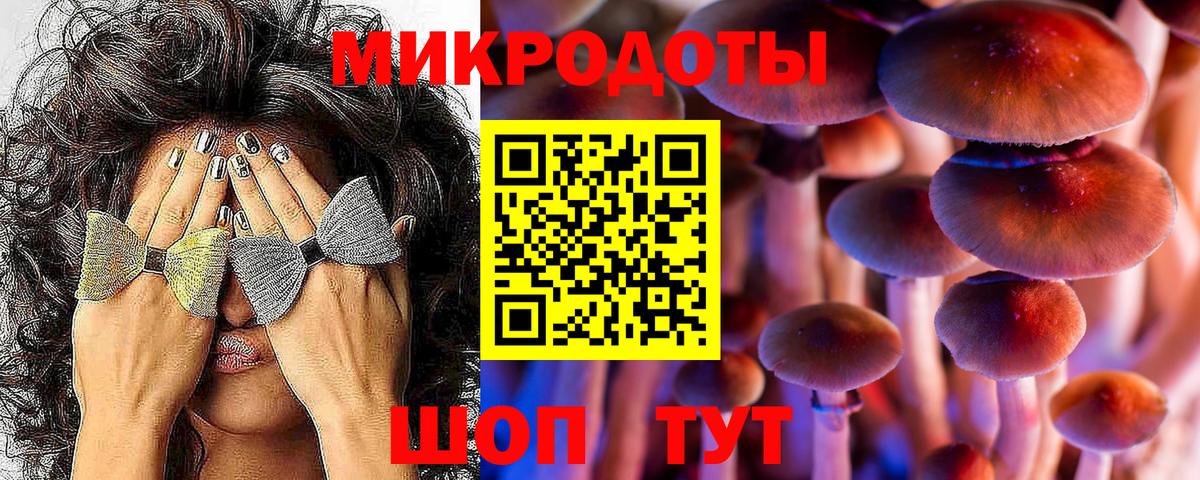 Псилоцибиновые грибы Psilocybine cubensis  Вход с VPN  Туймазы 