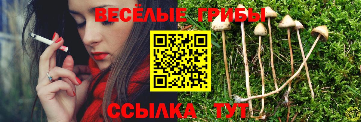 Псилоцибиновые грибы Cubensis Туймазы